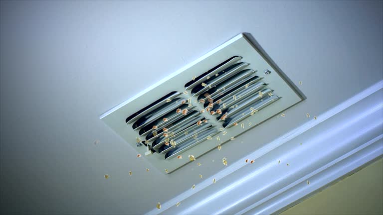 Best Local Air Duct Cleaning Services  in Woodland Park, NE
